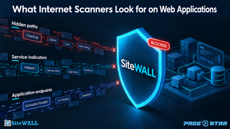 What Internet Scanners Look for on Web Applications