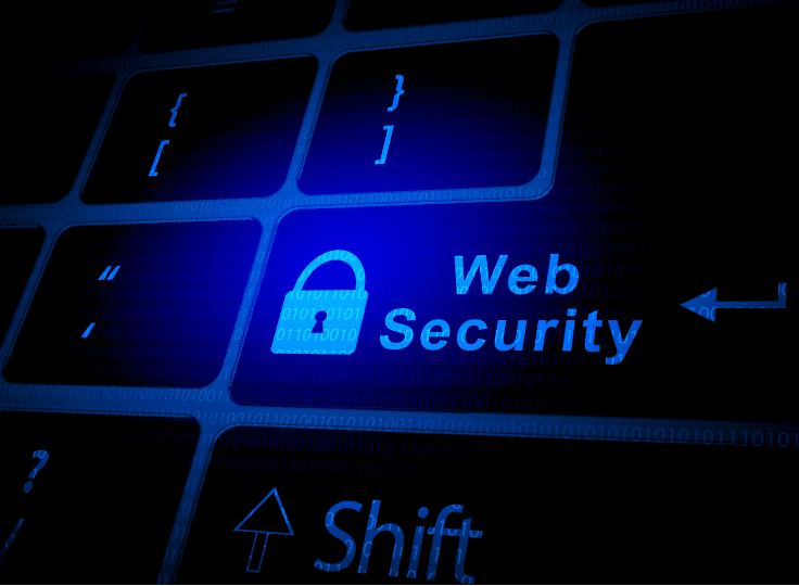 Shielding Digital Interactions: Elevating Web Application Defense in Todays Connected Enterprise